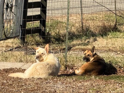 Mother and Son. Mom is on the right her little son is on the left.