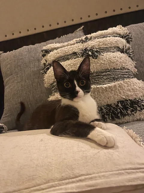 How it started vs how it’s going