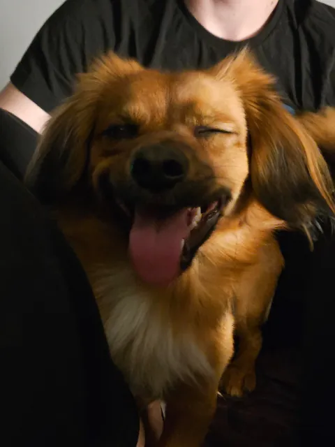 "Mother i need more attention"