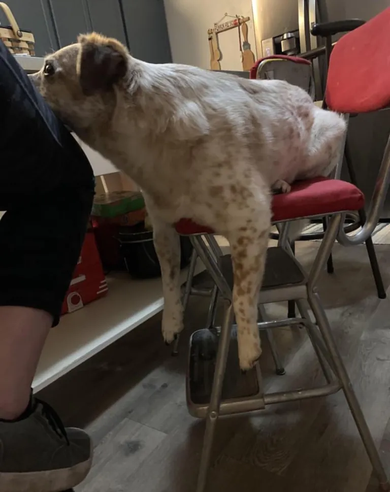 More pictures of Chief being unapologetically himself