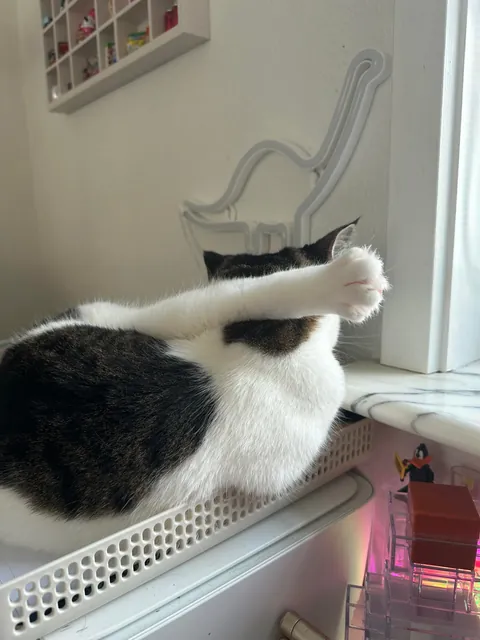 There is no way this is comfy