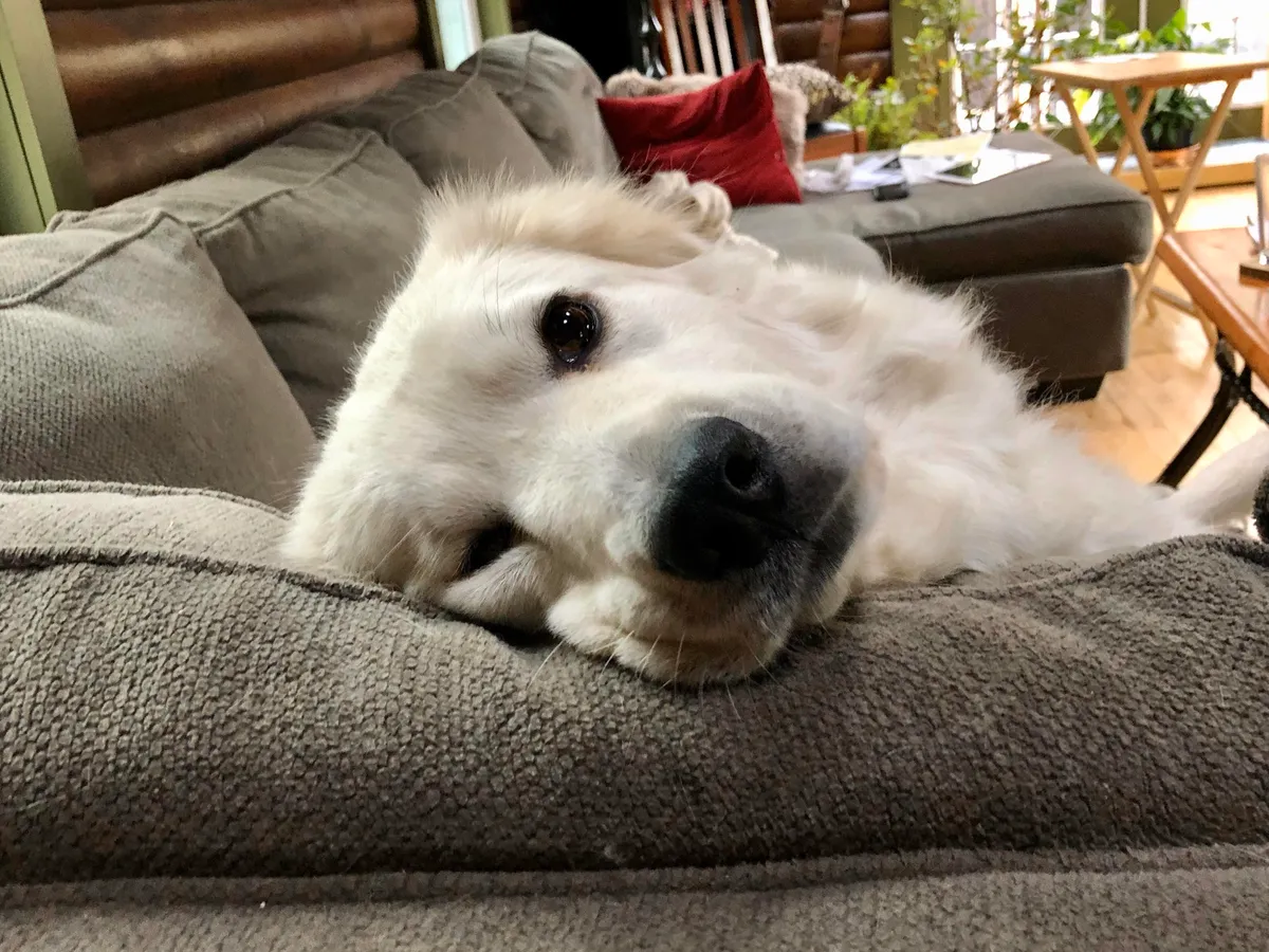 I shall call him squishy and he shall be mine