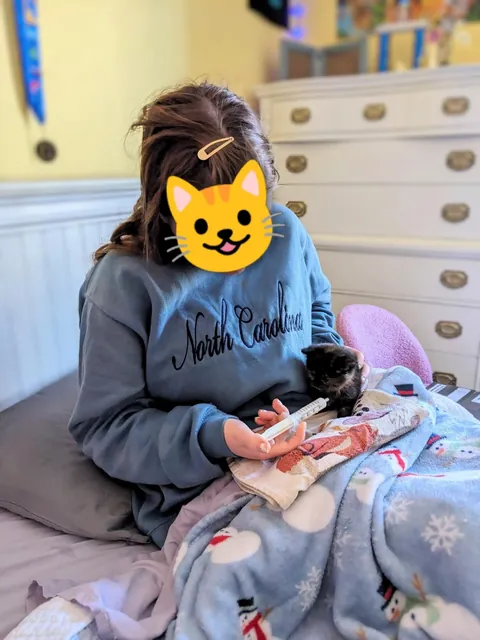 Updates on the sweet ice princess, Elsa!