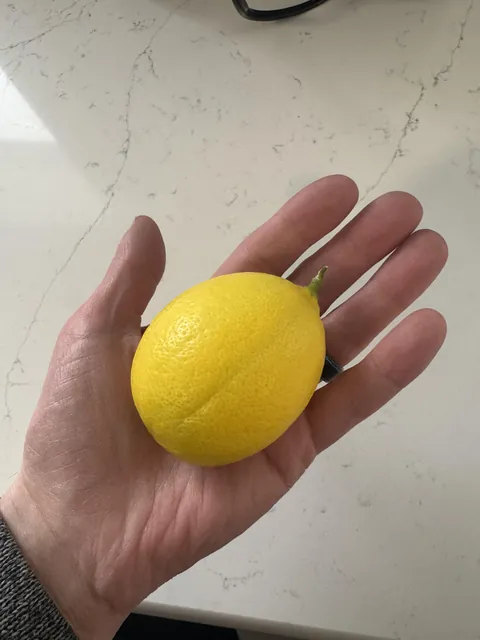 It took me 8 years, but I I finally grew a lemon in Michigan!!