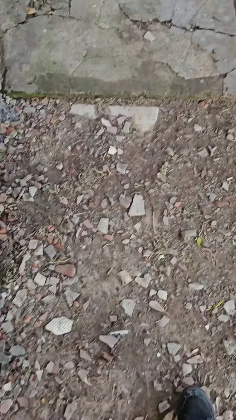 A brick wall and some sun.