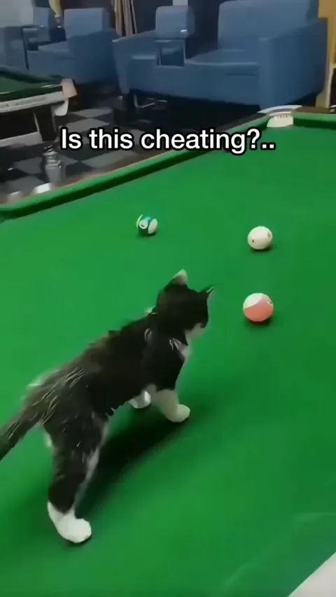Professional Billiard Players showing their skills