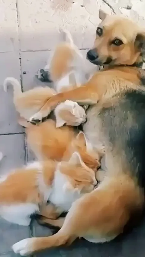 Moms are moms no matter what