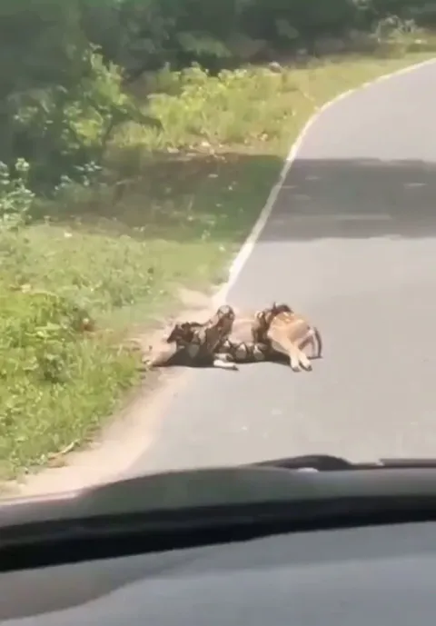 Natural selection canceled