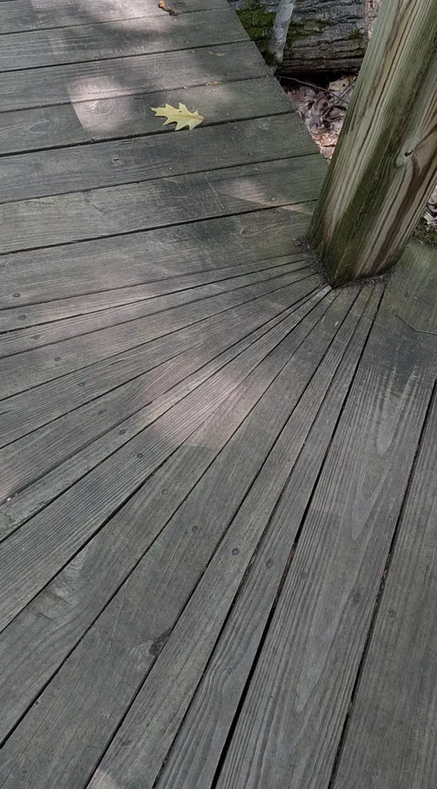 The corner cuts on this state park boardwalk