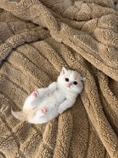 I walked through the door,and there it was, staring straight at me😳🥺