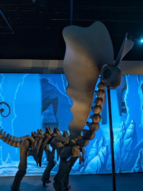 My favorite pictures from the Pokemon Fossil Museum.(I'm local).