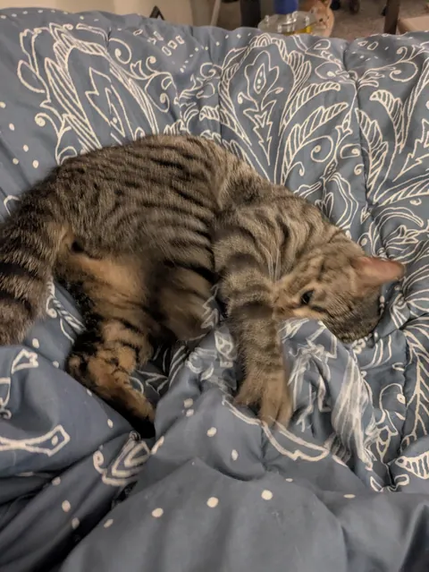 My bubba passed away suddenly.