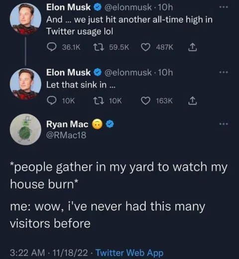 Daily Musk Status