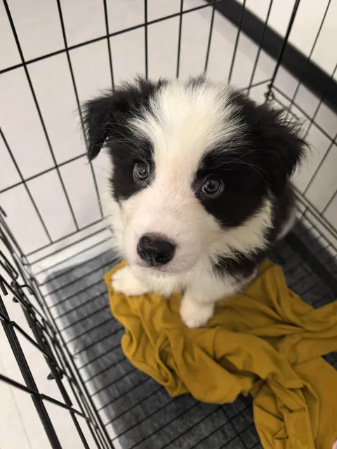 A new addition to the family!