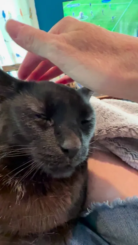 He’s now been with us as long as he was in the shelter