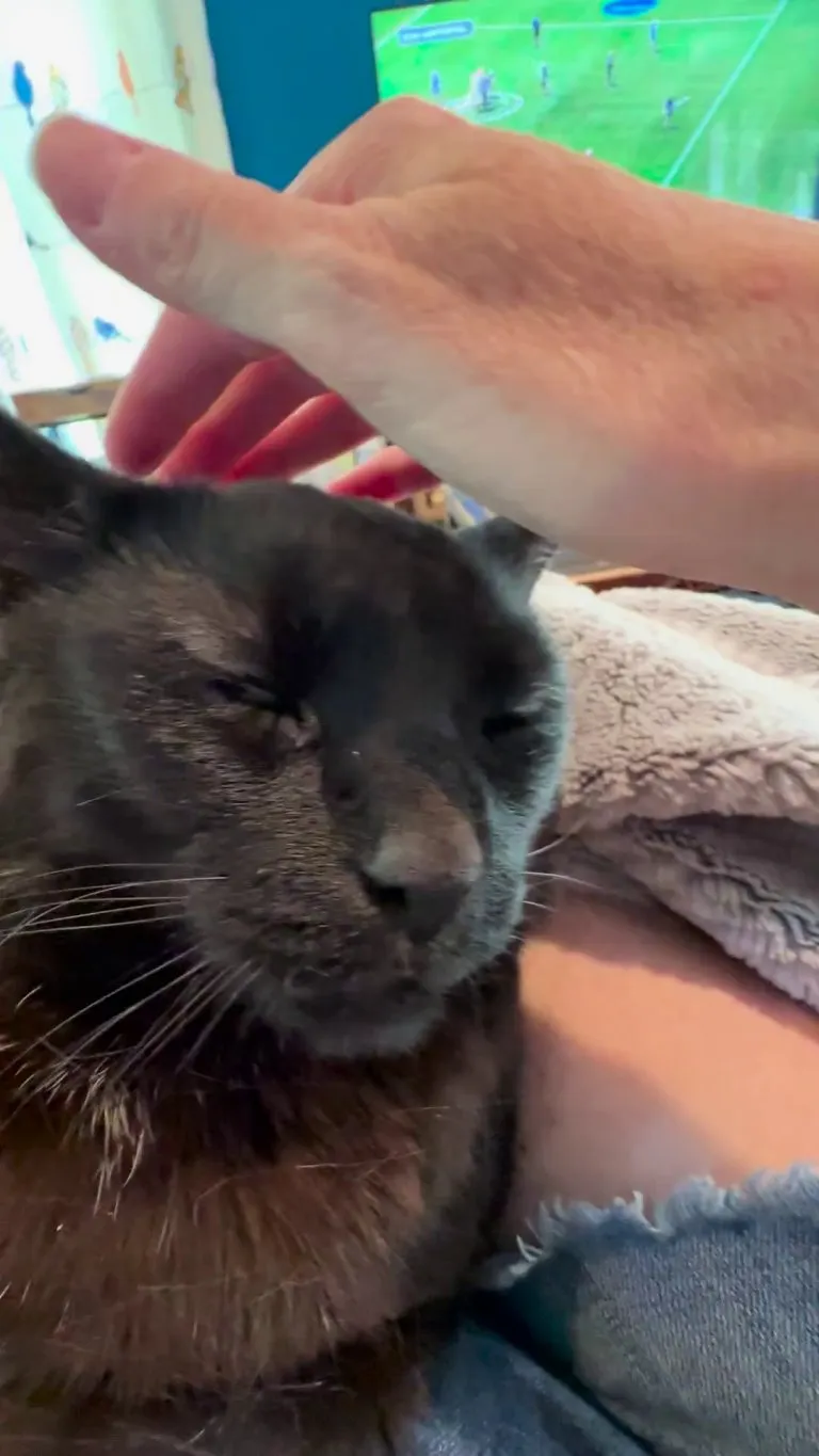 He’s now been with us as long as he was in the shelter