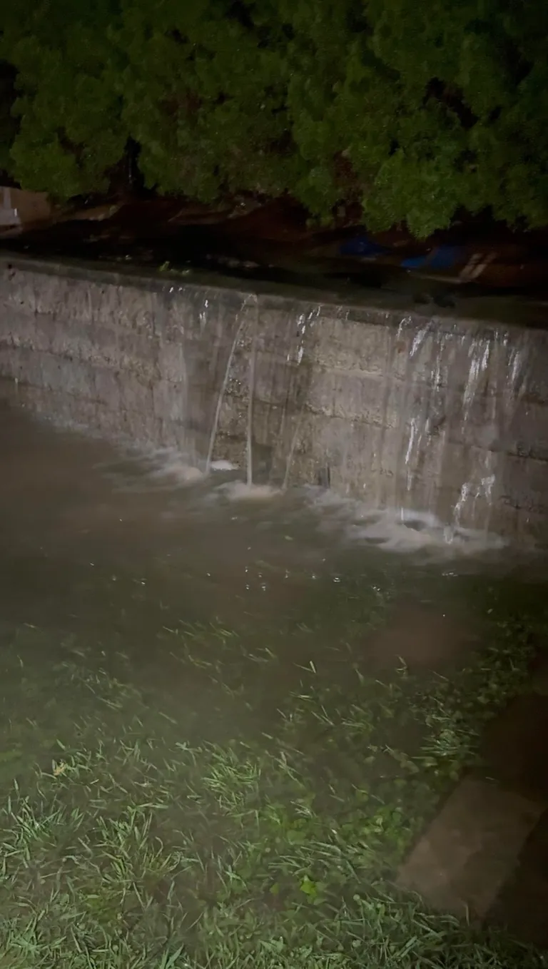 Just closed on our home a month ago… at a loss on where to start fixing this crawlspace and water problem