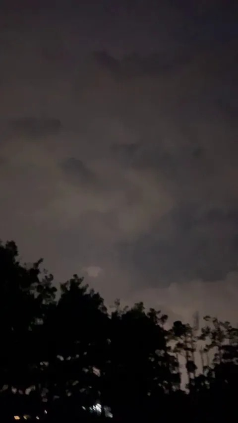 🔥Lightning turning the night sky into a rave