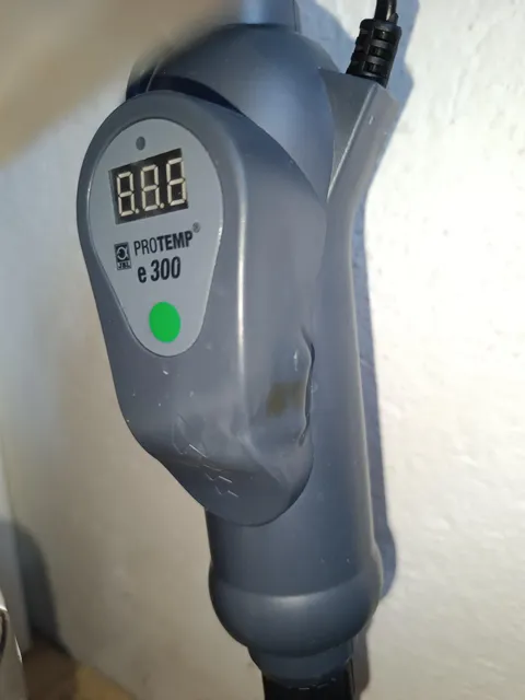 This heater killed my whole fish tank.