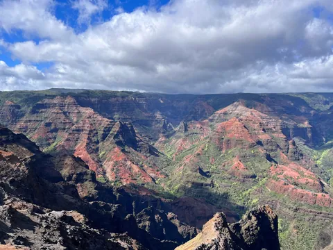 One week in Hawaii (2022)