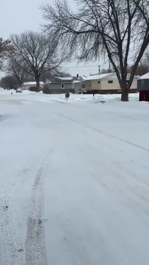 “Today’s gonna be a great day” type of hopping