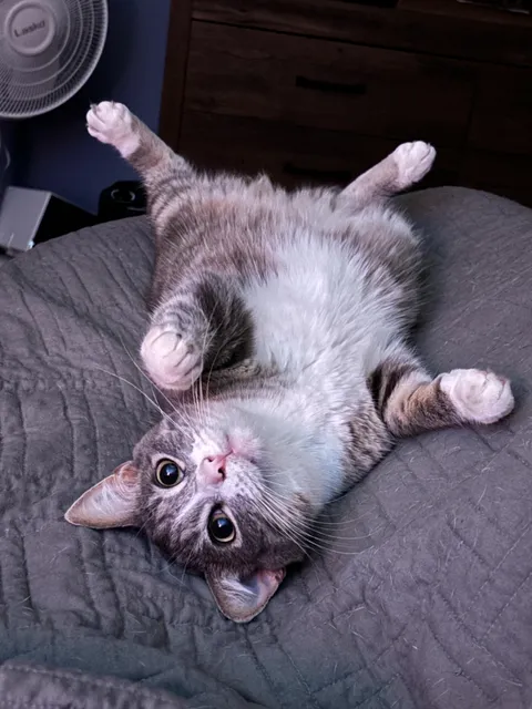 THIS IS THE GREATEST PICTURE I WILL EVER TAKE 