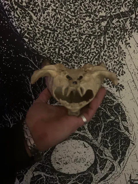 Somebody put this on the hood of my dads jeep