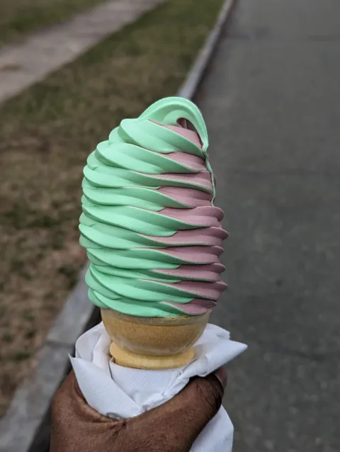[I ate] a blackberry-pistachio twist cone 