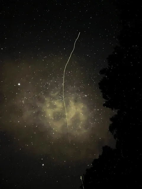 A pic of the night sky interrupted by a firefly.