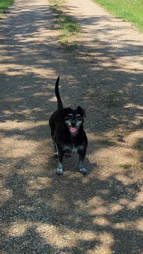 Just moved to the family farm and someone is heckin' thrilled about it