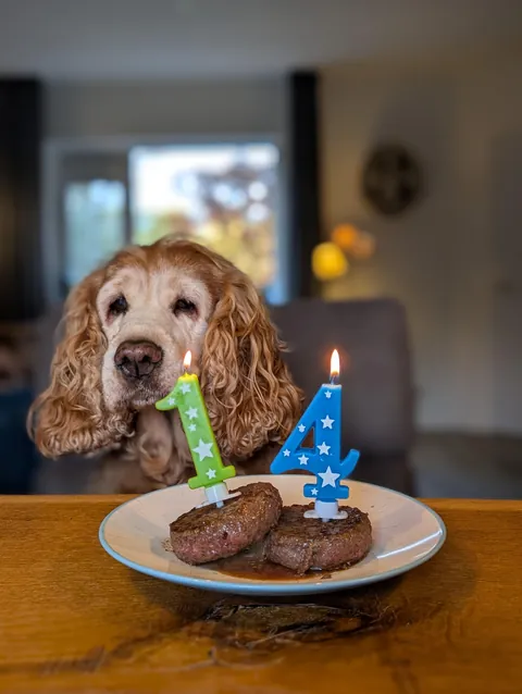 Another birthday for the birthday girl