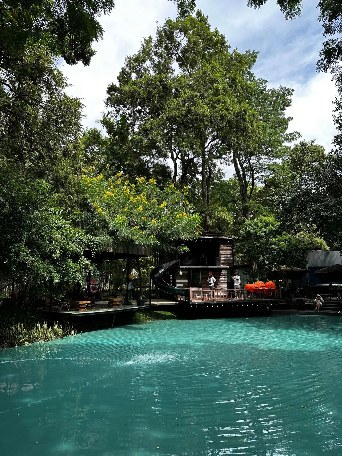 5 Days in Chiang Mai reflection. Slower Pace + Crisp Air + omg Khao Soi (curry noodle soup)