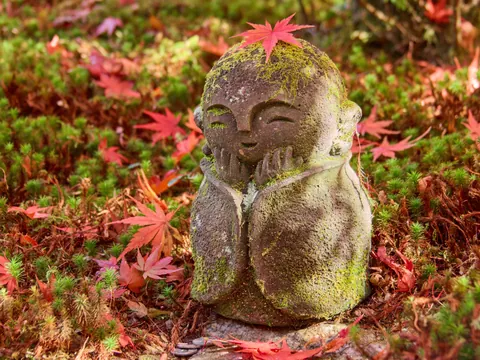 Autumn in Kansai, Japan