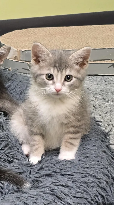 Teddy got adopted yesterday!