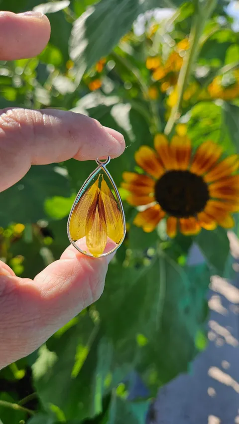 Preserving my flowers to make charms 🫶🌻💐