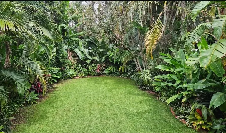 My garden is sold: before and after