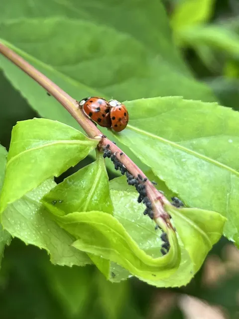 The beginning of the end