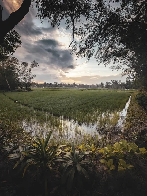 Vietnam February 2026