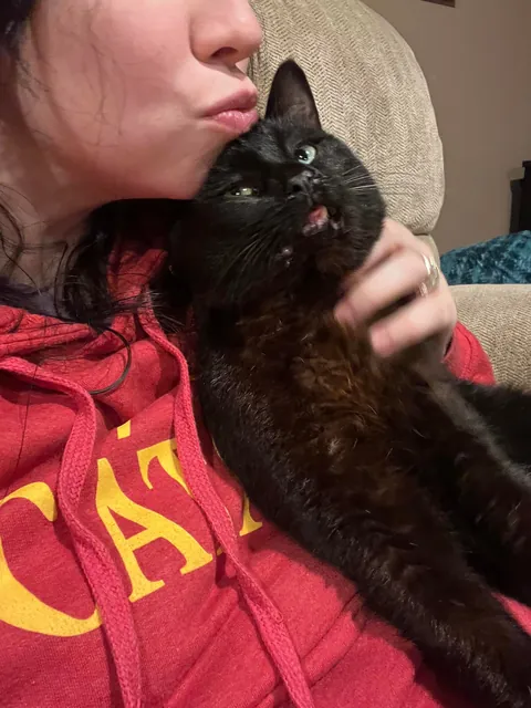 This sweet boy showed up at our house two weeks ago. 