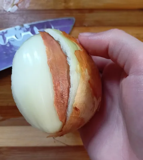 My onion had a dry layer under a normal layer