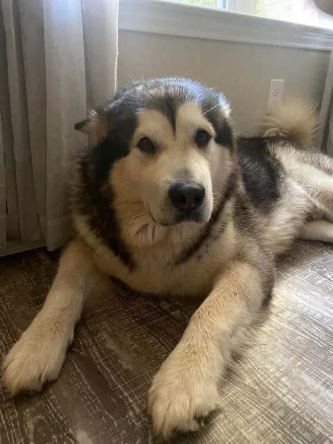 When you wake up from a nap and don’t even know what year it is…