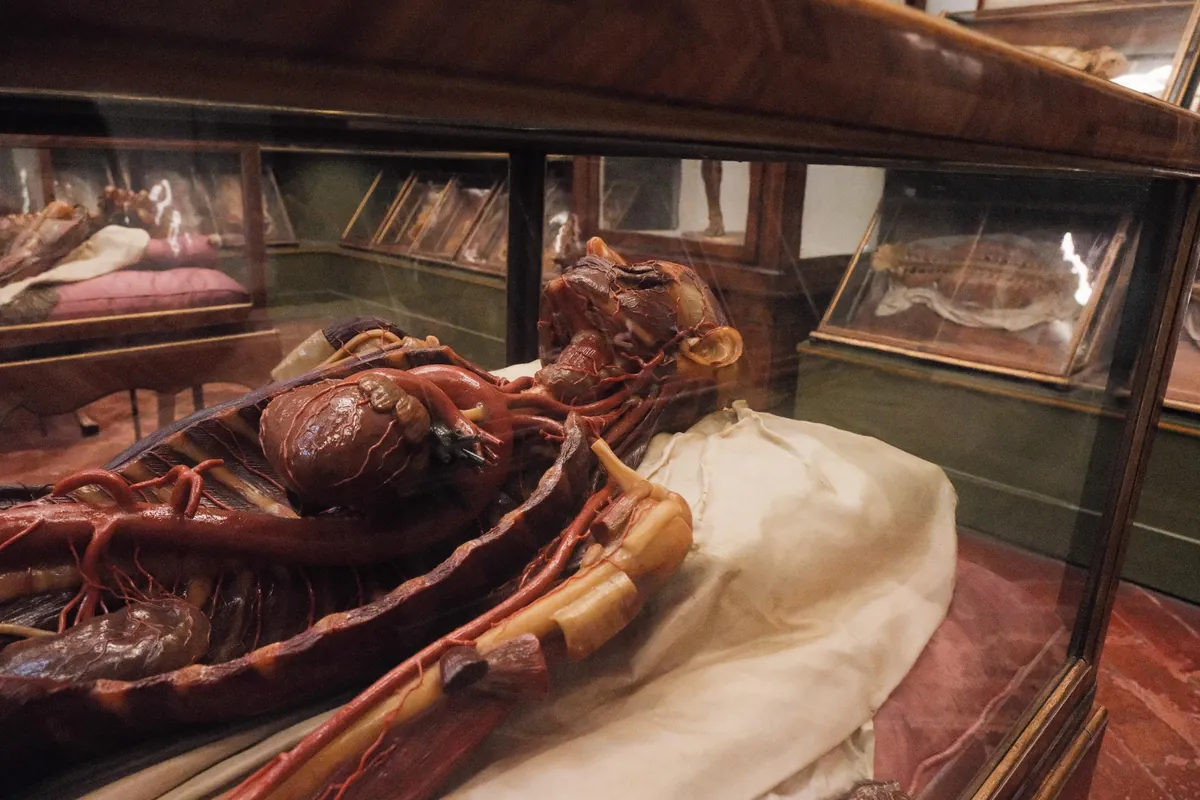 Our trip to Florence last week