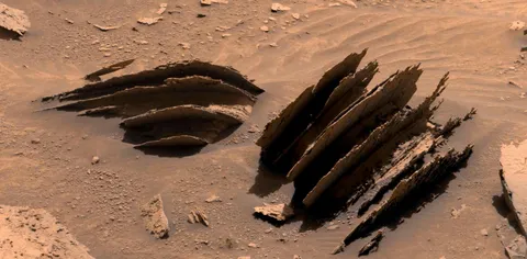 Interesting weathering patterns on these rocks, recently imaged by the Curiosity rover on Mars. Image credit: NASA/JPL-Caltech/MSSS/Kevin M. Gill