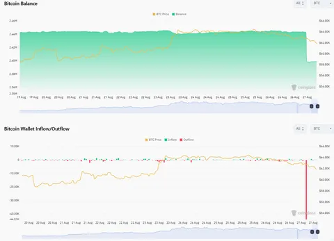 Binance just had an outflow of 44,000 Bitcoins worth $2 Billion