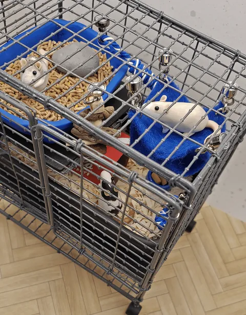 Table Top Rat Zen Garden