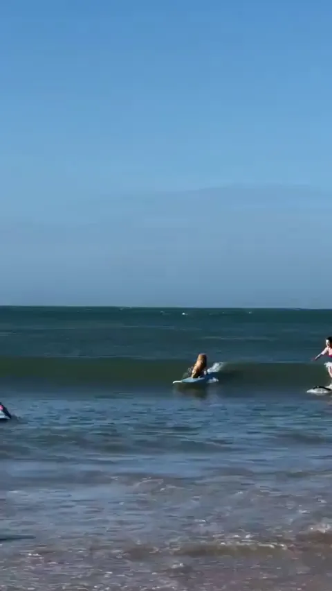 Imagine you learning to surf and there is a doggo beating you at it