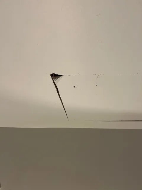 Is there someone living in my attic?