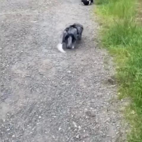 These two best friends first time seeing each other in over a year