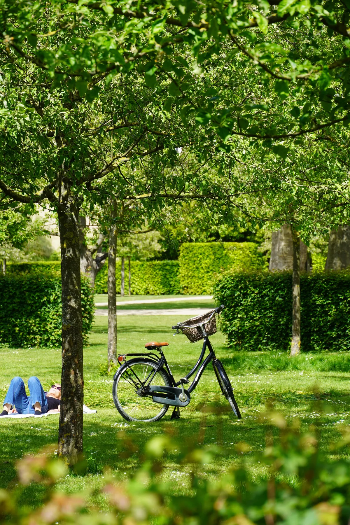 Copenhagen in Late Summer is Perfection!
