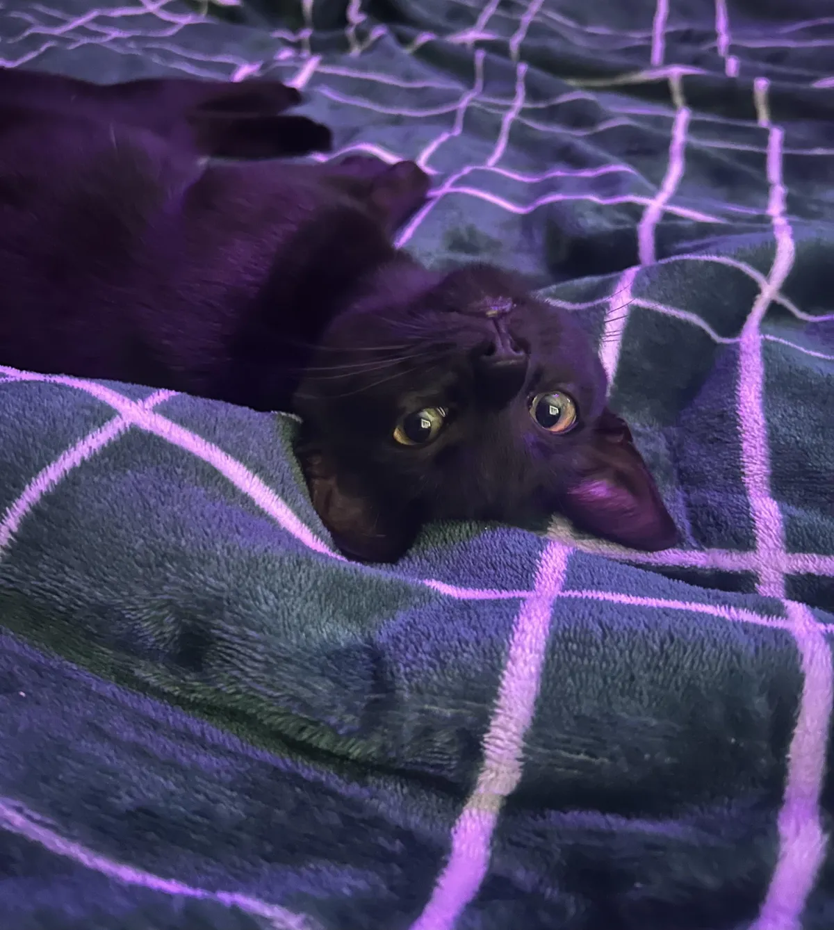 This may be the cutest picture ever